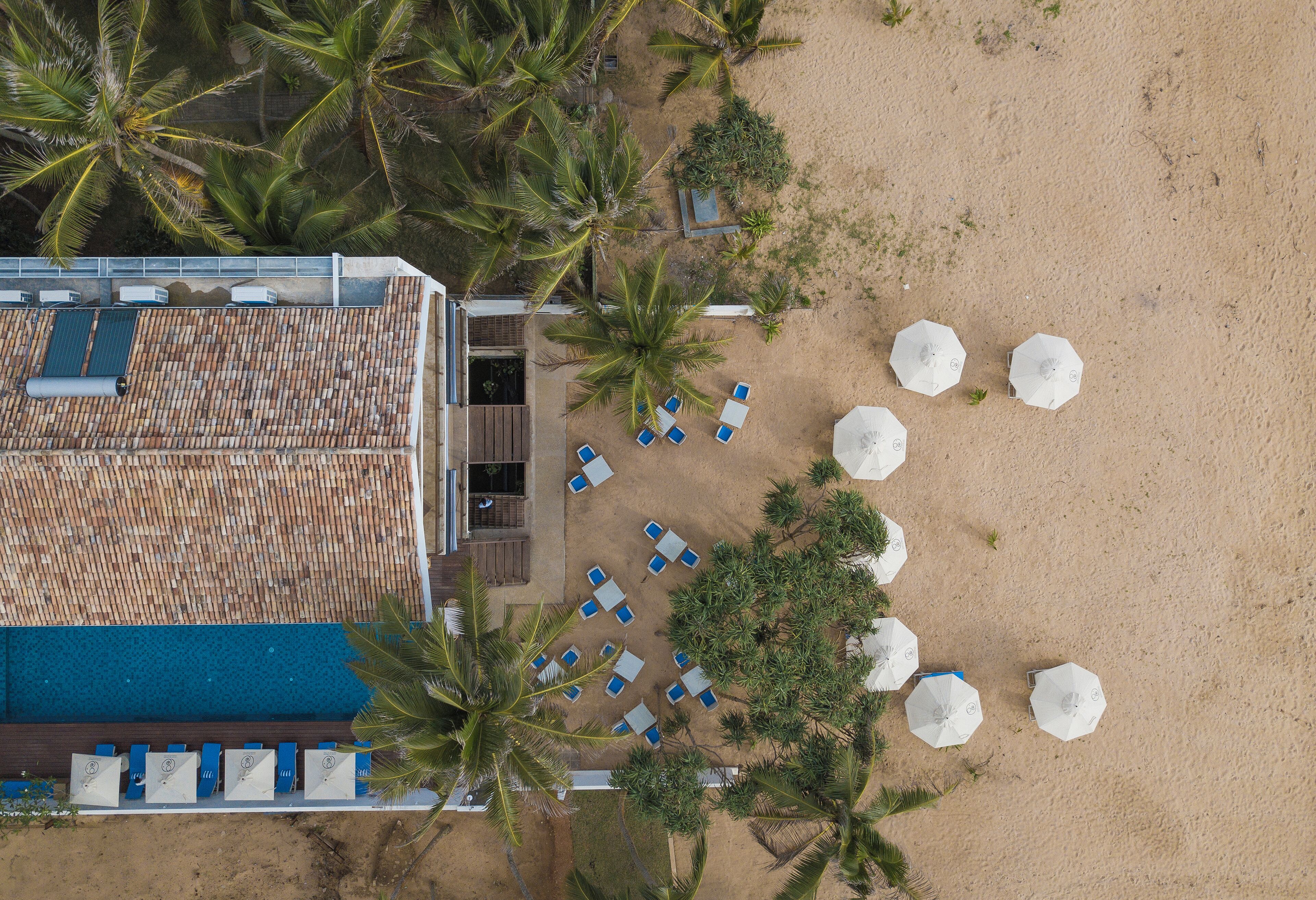 An aerial view of a beachside resort with a pool area, sun loungers, umbrellas, and palm trees.