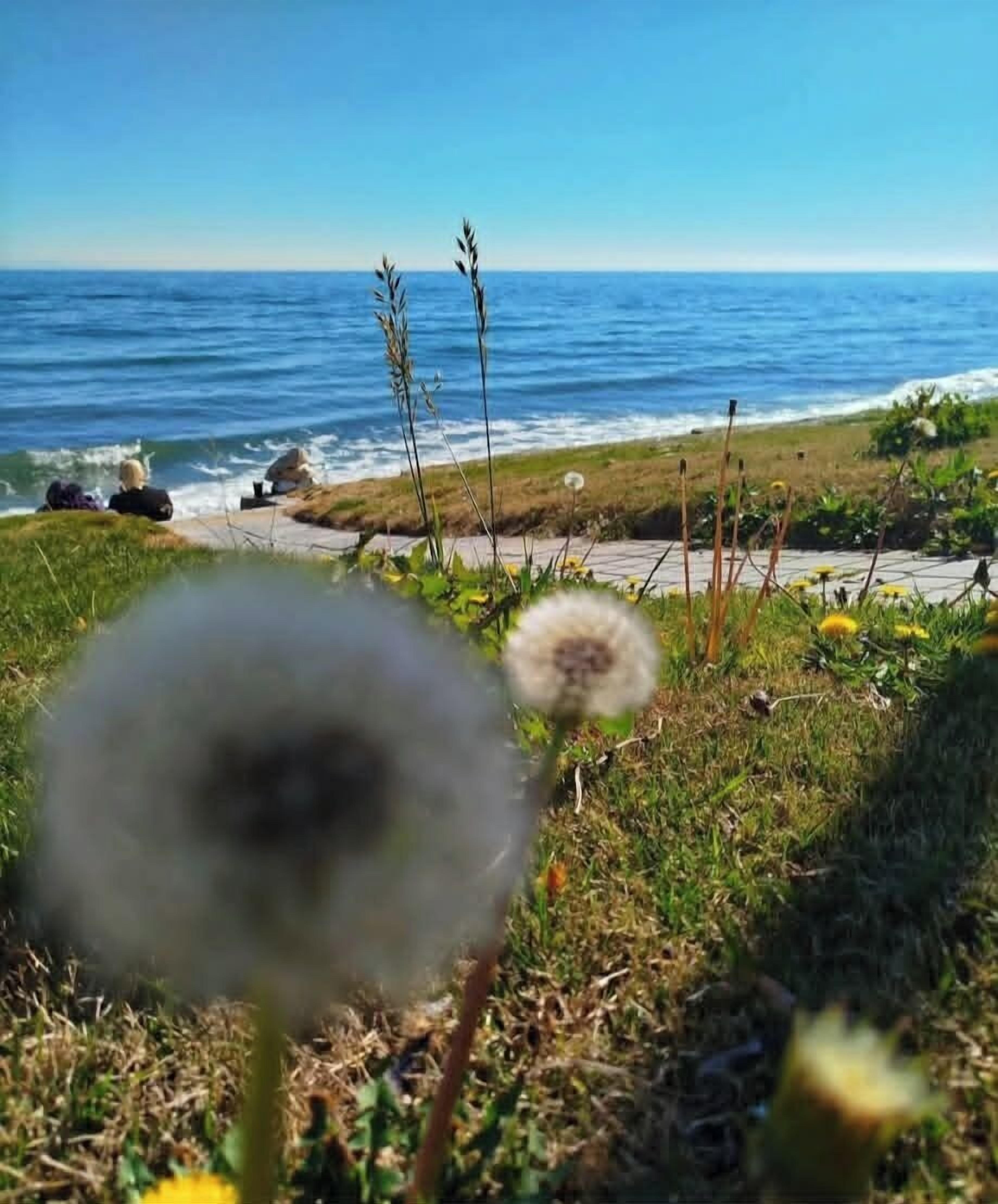 På stranden