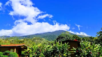 Habitació bàsica, balcó, vistes al jardí | Vista des de l'habitació