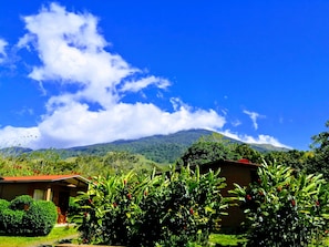 Basic Room, Balcony, Garden View | View from room
