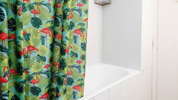 Shower, free toiletries, hair dryer, bidet