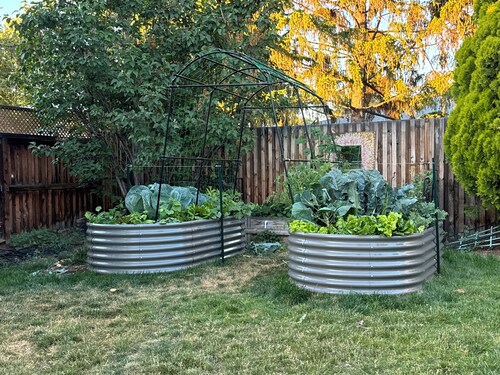 Adorable Pet-Friendly House  - Walking Distance to Downtown and Dry Canyon