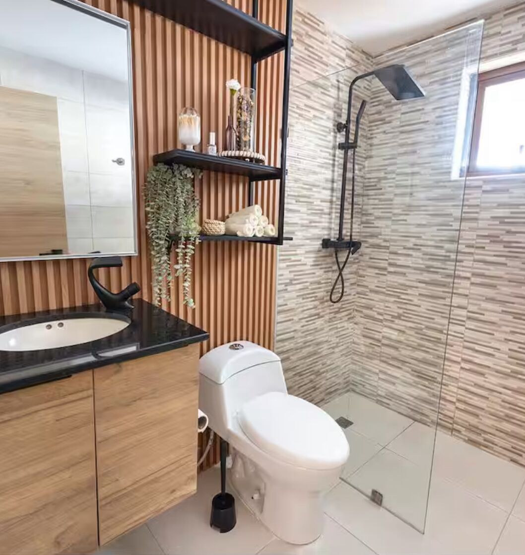 Ducha, secador de pelo, toallas y papel higiénico