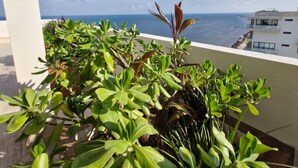 Apartment, 1 Bedroom, Accessible, Balcony | Property grounds - Beatiful Loft in Puerto Morelos Beach Front 9-4 (Puerto Morelos)