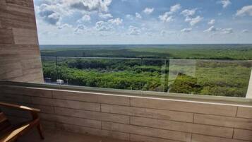 Apartment, 1 Bedroom, Accessible, Balcony | Balkoni