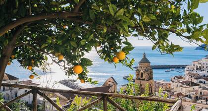 VILLA ROSARIO AMALFI ART (VILLA ANGELINA)