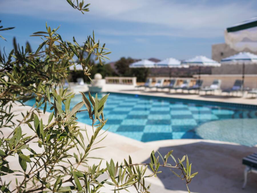 Zona de piscina con sillas de descanso y sombrillas, rodeada de olivos.