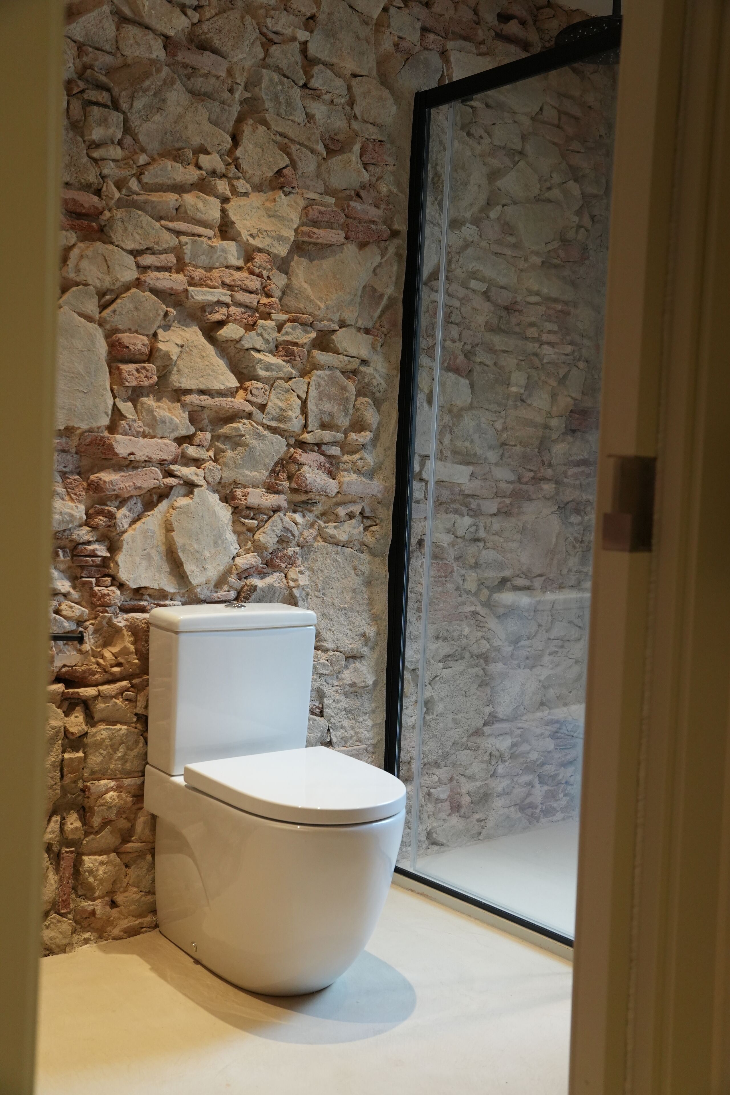 Un baño con pared de piedra, inodoro blanco y cabina de ducha con mampara de cristal.