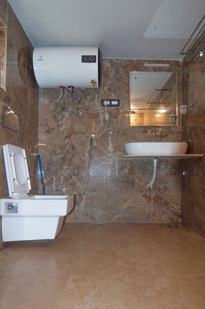 Shower, soap, shampoo, toilet paper - kashmir house (Anantnag)