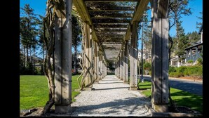 A wooden pergola structure with a gravel pathway leading through it.