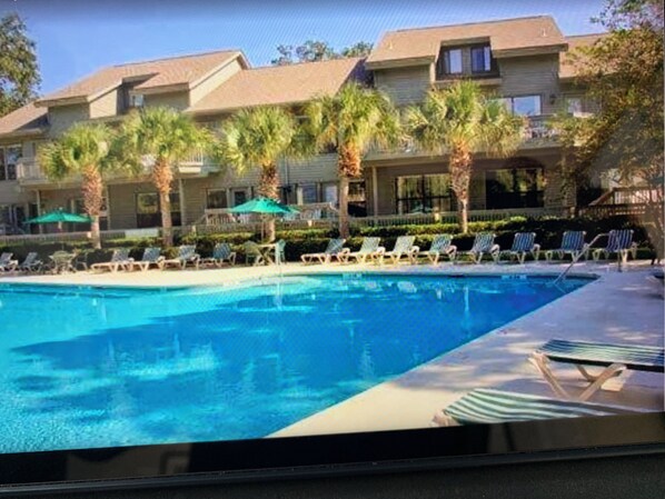A swimming pool with lounge chairs and palm trees.