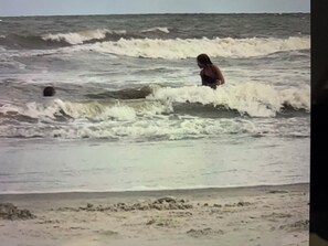 海滩
