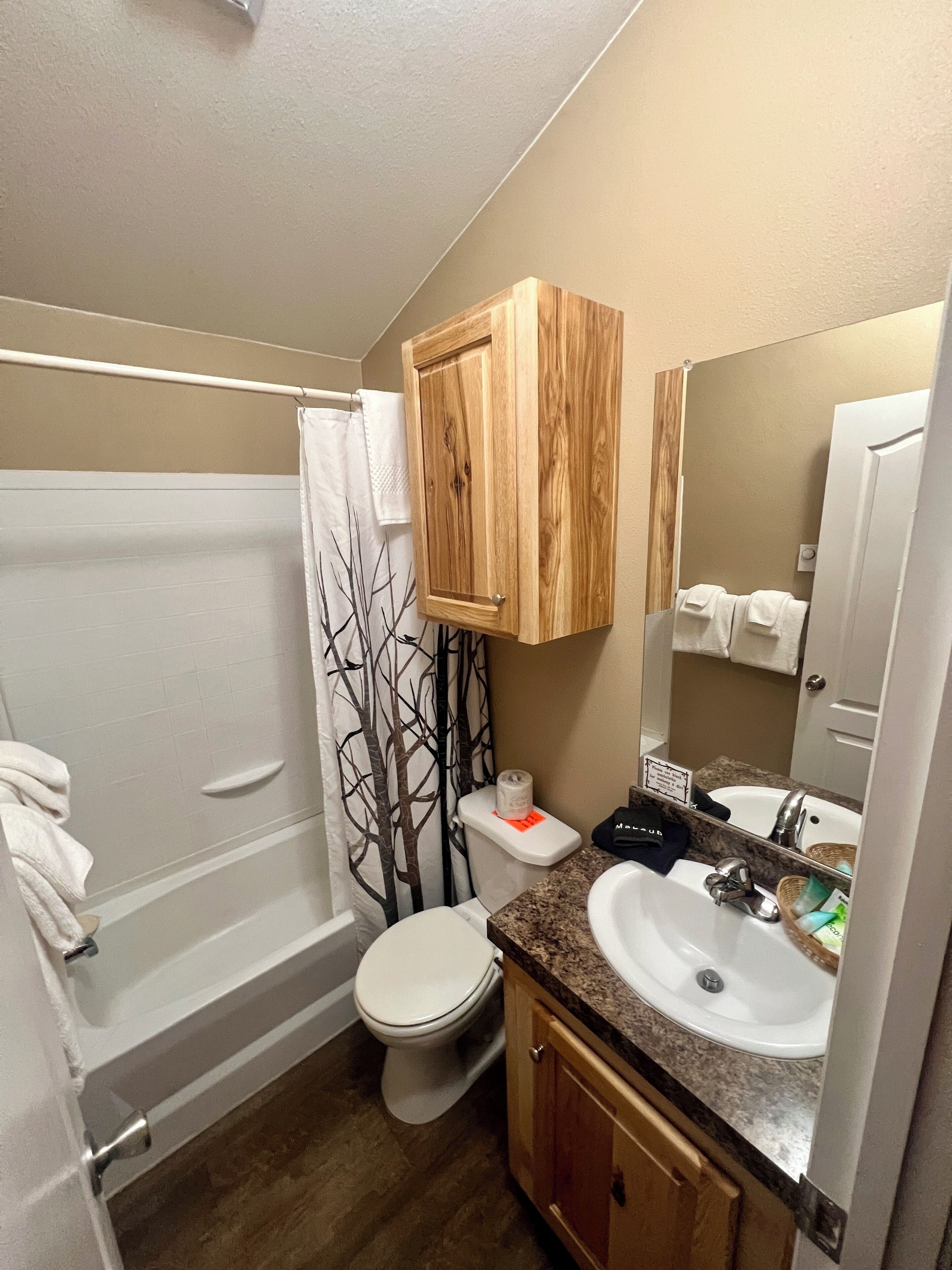 Suite | Bathroom | Towels, soap, shampoo, toilet paper