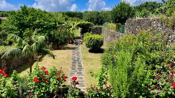 A garden pathway surrounded by lush greenery and flowering plants.