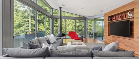 Televisio, takka, työhuone