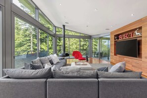 TV, fireplace, offices