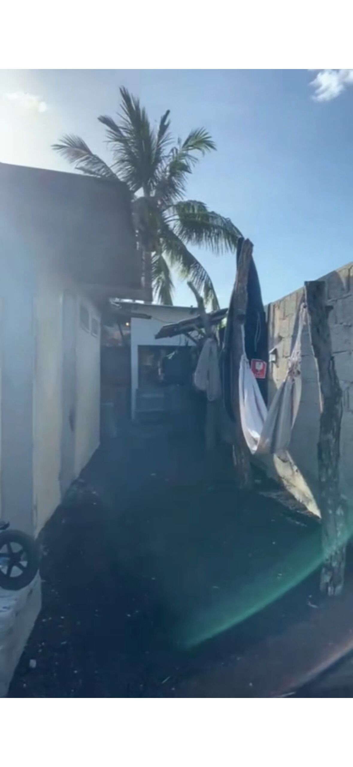 Un estrecho callejón con una palmera, un paño colgado y la entrada a un edificio.