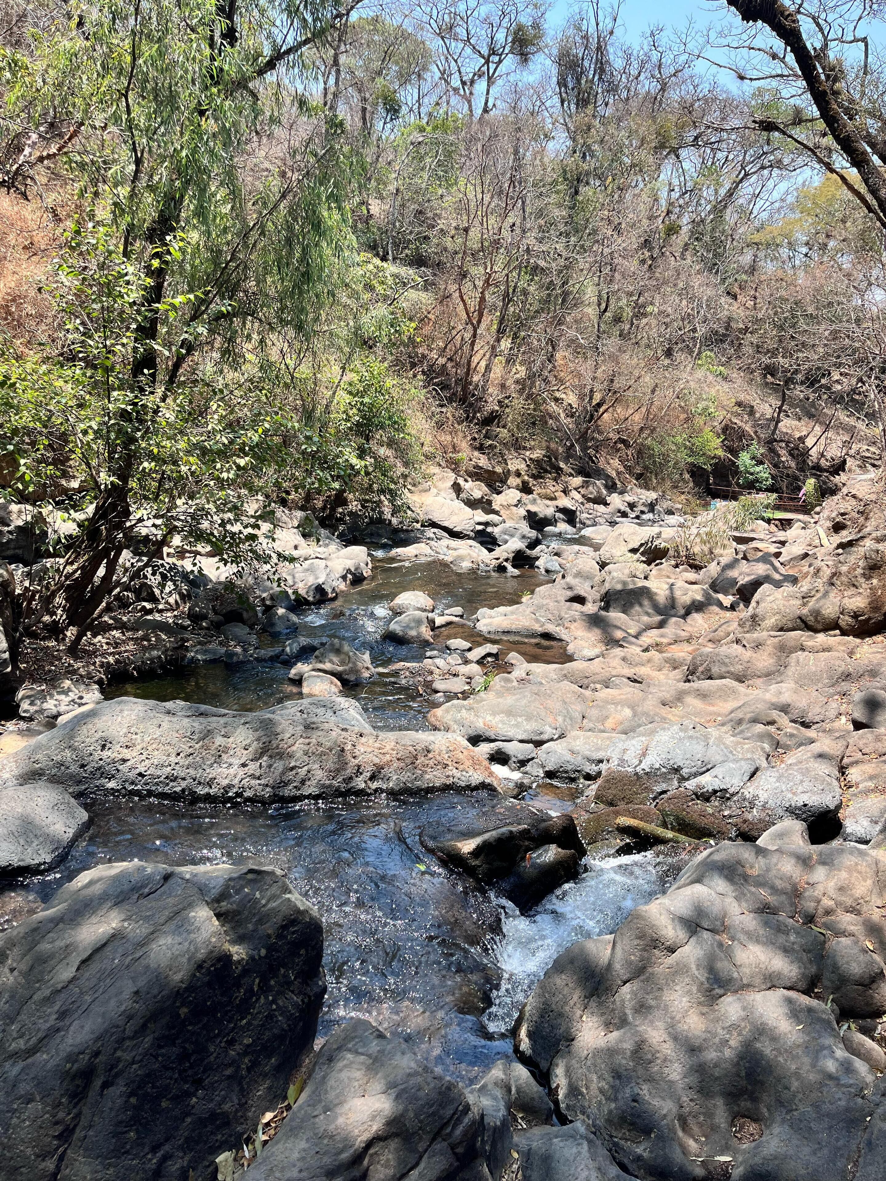 A rocky stream with clear water flowing over rocks, surrounded by trees and vegetation.