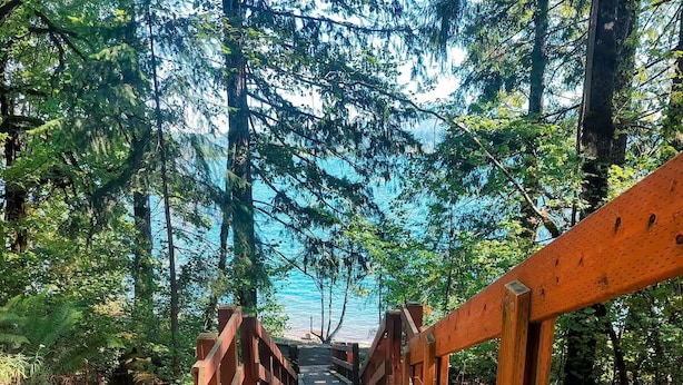 Un puente de madera que conduce a una masa de agua, rodeado de un bosque denso.