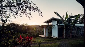A modern house with a stone facade, a covered porch, and lush tropical vegetation. - Luxury Villa Ceibo - Exquisite, Private, Serene with Starlink (San Mateo)
