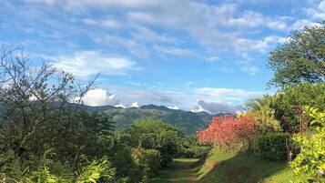 A pathway through a lush landscape with mountains in the distance and a clear sky.