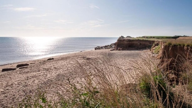 A beach with a clear sky, a rocky cliff, and sparse vegetation.