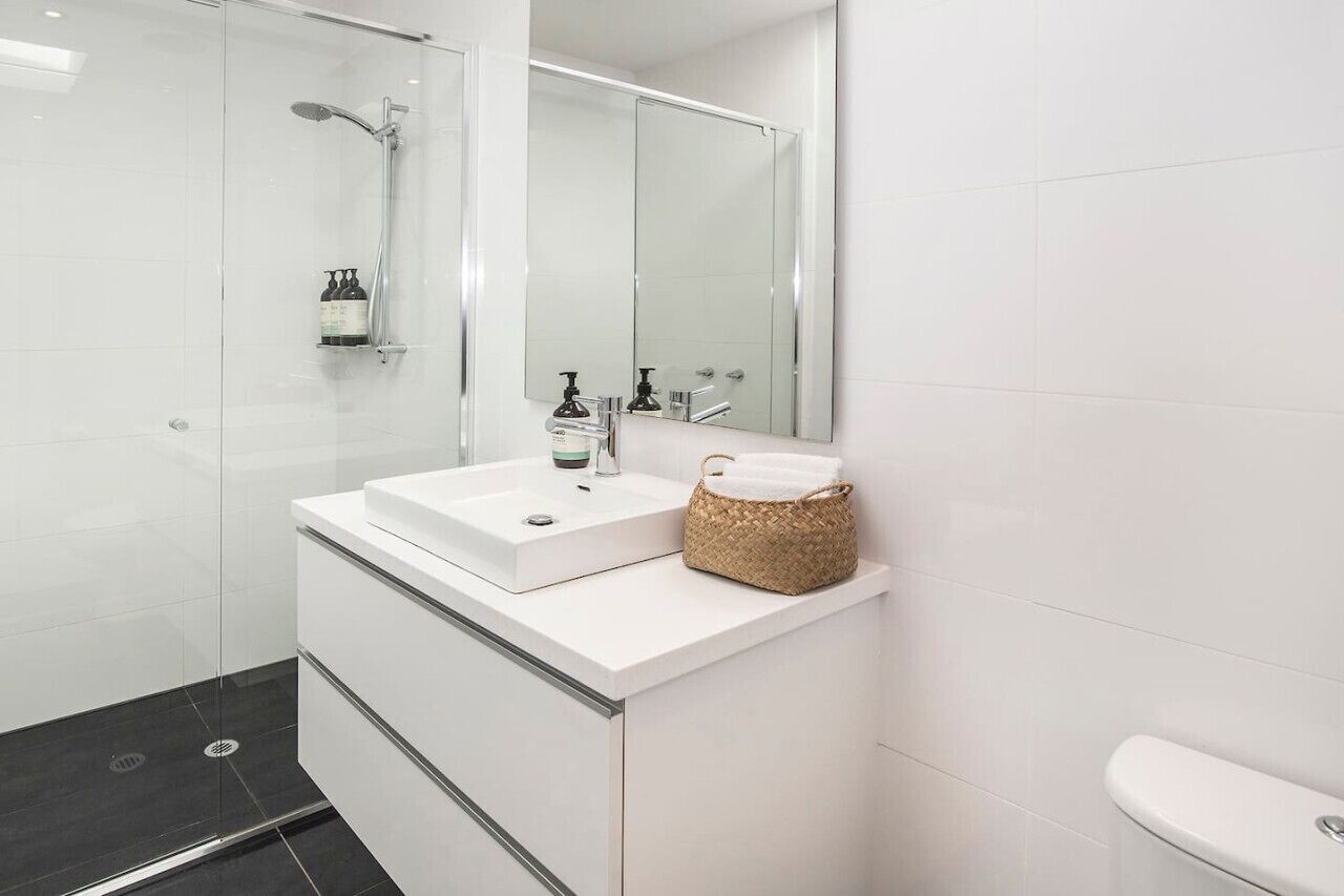 Haartrockner, Shampoo