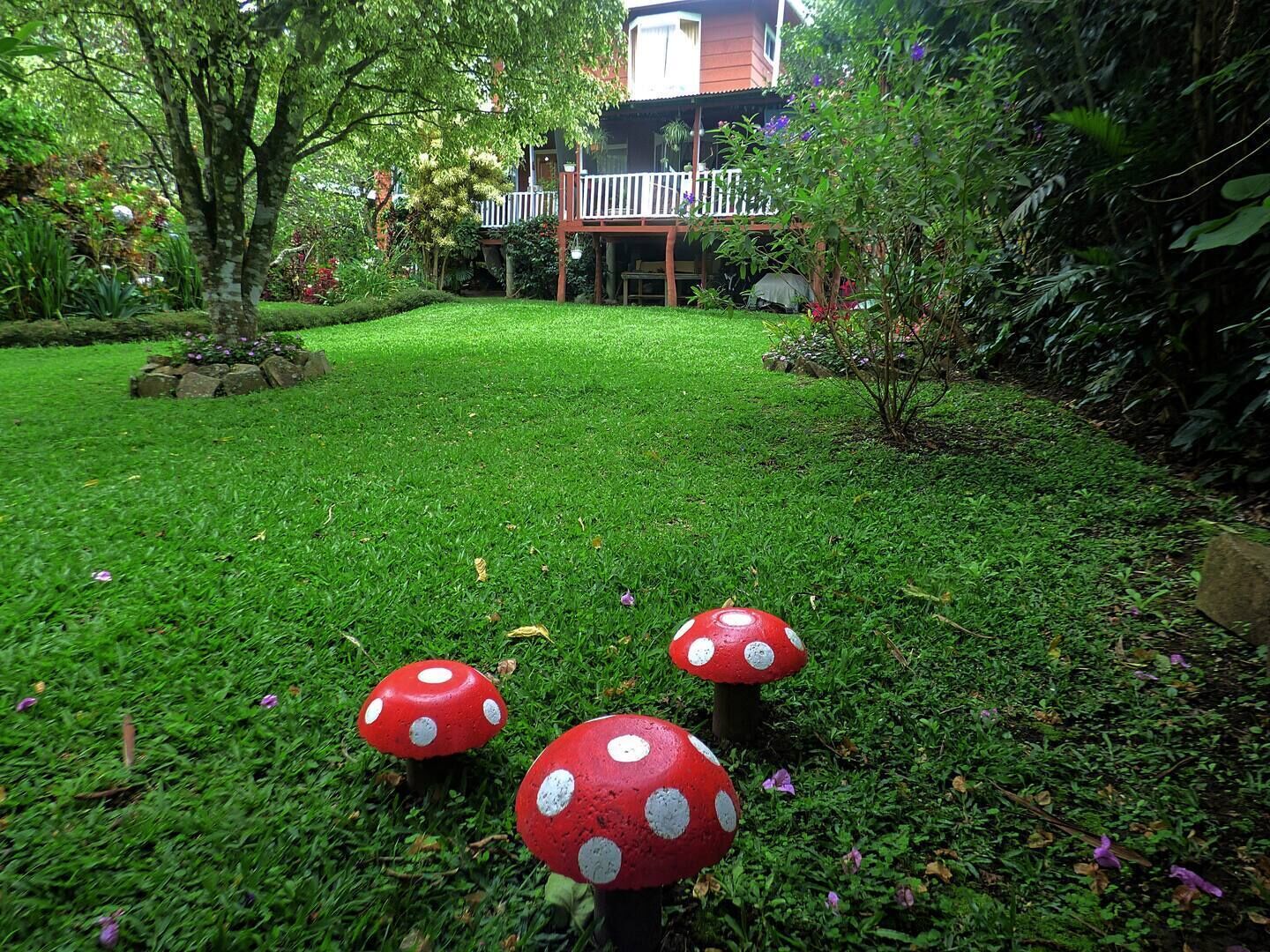 Un giardino rigoglioso con tre decorazioni a forma di fungo dipinte, un molo di legno e un edificio sullo sfondo.