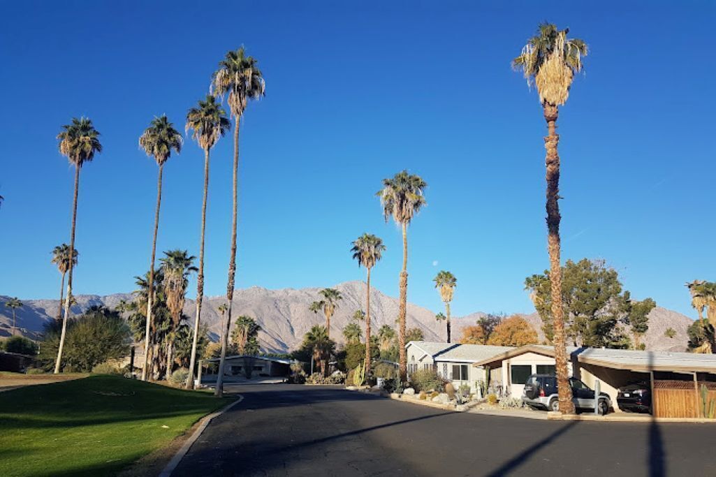 A street lined with tall palm trees, a clear blue sky, and a mountain range in the background.