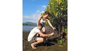 Dos personas plantando plántulas de mangle en una playa arenosa, con una masa de agua y colinas al fondo.