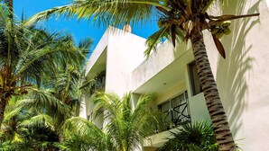 A courtyard with palm trees, a white building, and a clear blue sky. - Welcome to this 1 bed 1 bath condo with splendid pool view (Progreso)