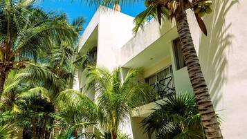 Área da propriedade