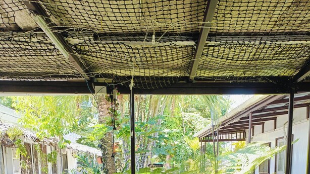 Uma área externa com assentos de madeira e uma cadeira de plástico azul, cercada por plantas em vasos e piso de azulejos.