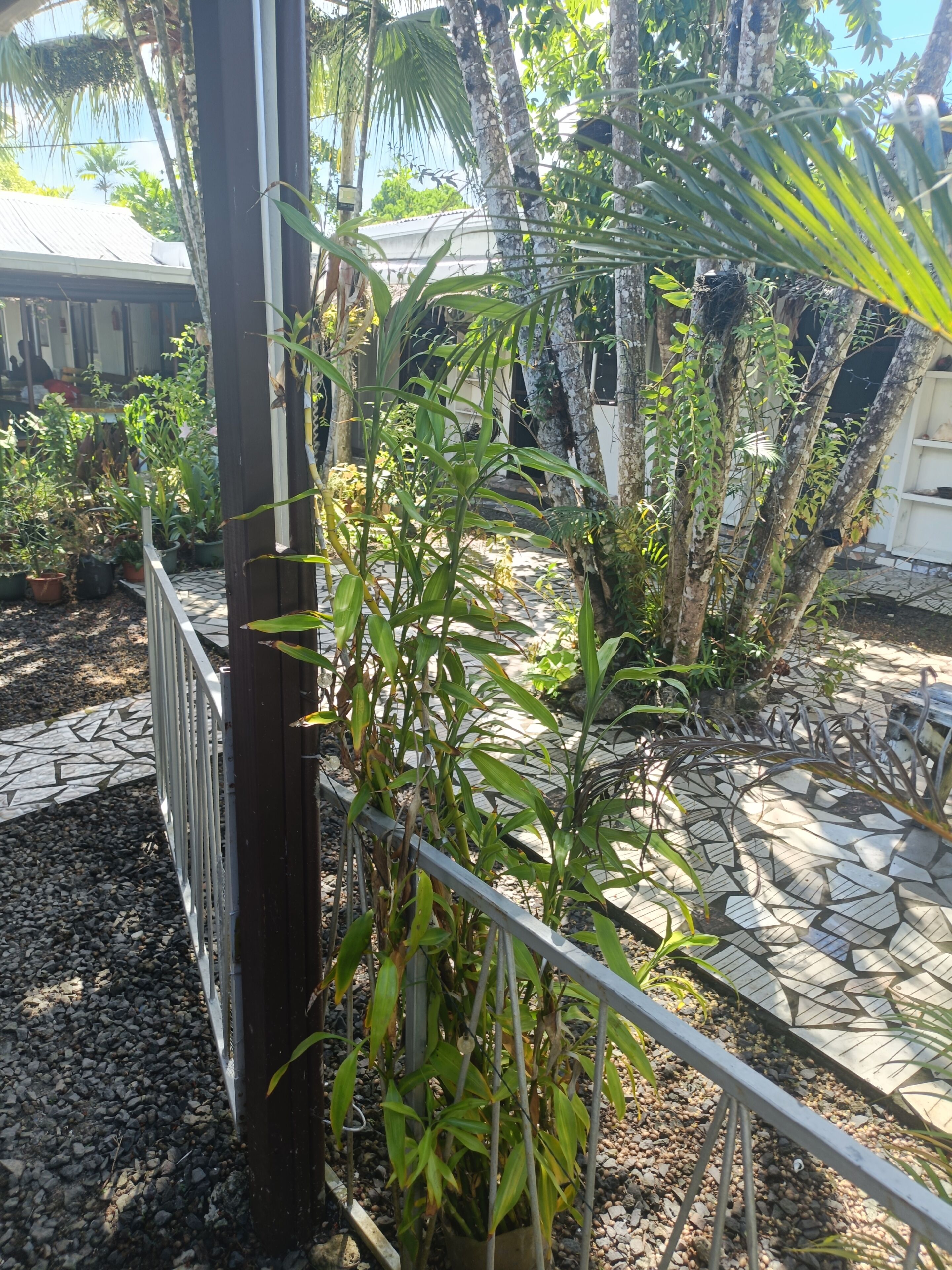 Chi tiết ngoại thất