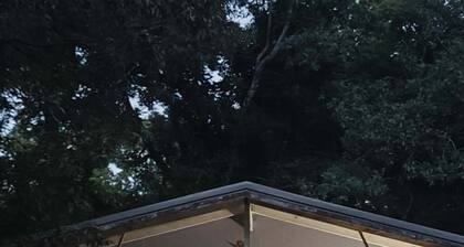 Tranquil Cottage 10 mins from Downtown Canton