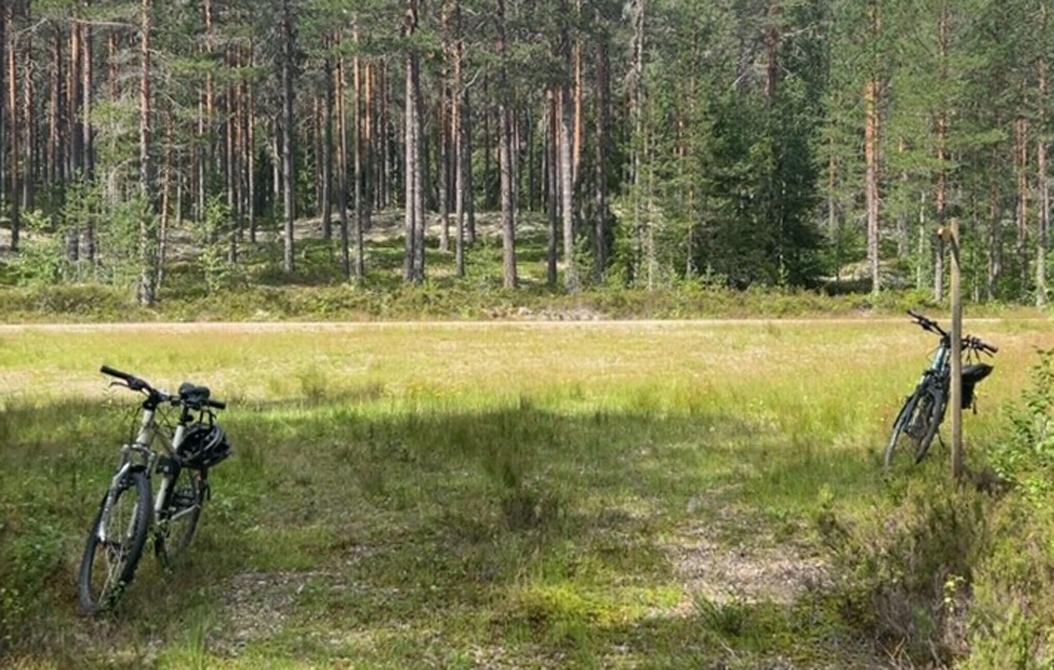 Duas bicicletas estacionadas em um campo gramado, com uma floresta ao fundo.