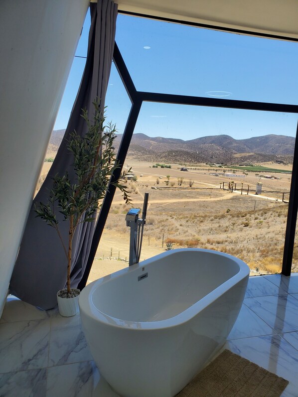A modern bathroom with a freestanding bathtub, a potted plant, and a view of a dry landscape through a large window.