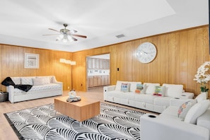 Smart TV, fireplace, books, stereo