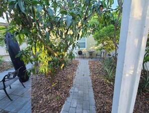 Terrace/patio - 2 Bedroom Tropical paradise #2 (Tampa)