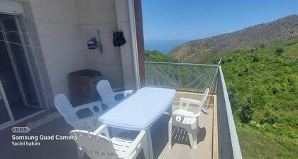 Apartment rental f3