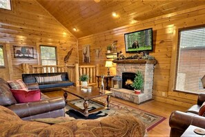 TV, fireplace, video games, DVD player
