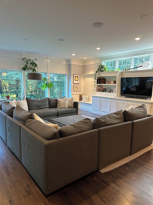 TV, fireplace