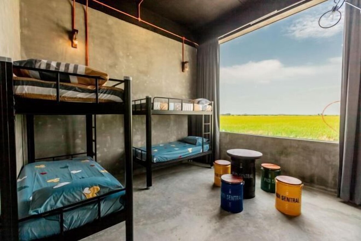 A bunk bed room with a view of a green field, a ladder, and several paint cans labeled "CENTRAL".
