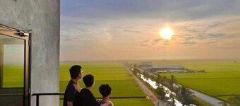 Padi Sentral @ Sekinchan