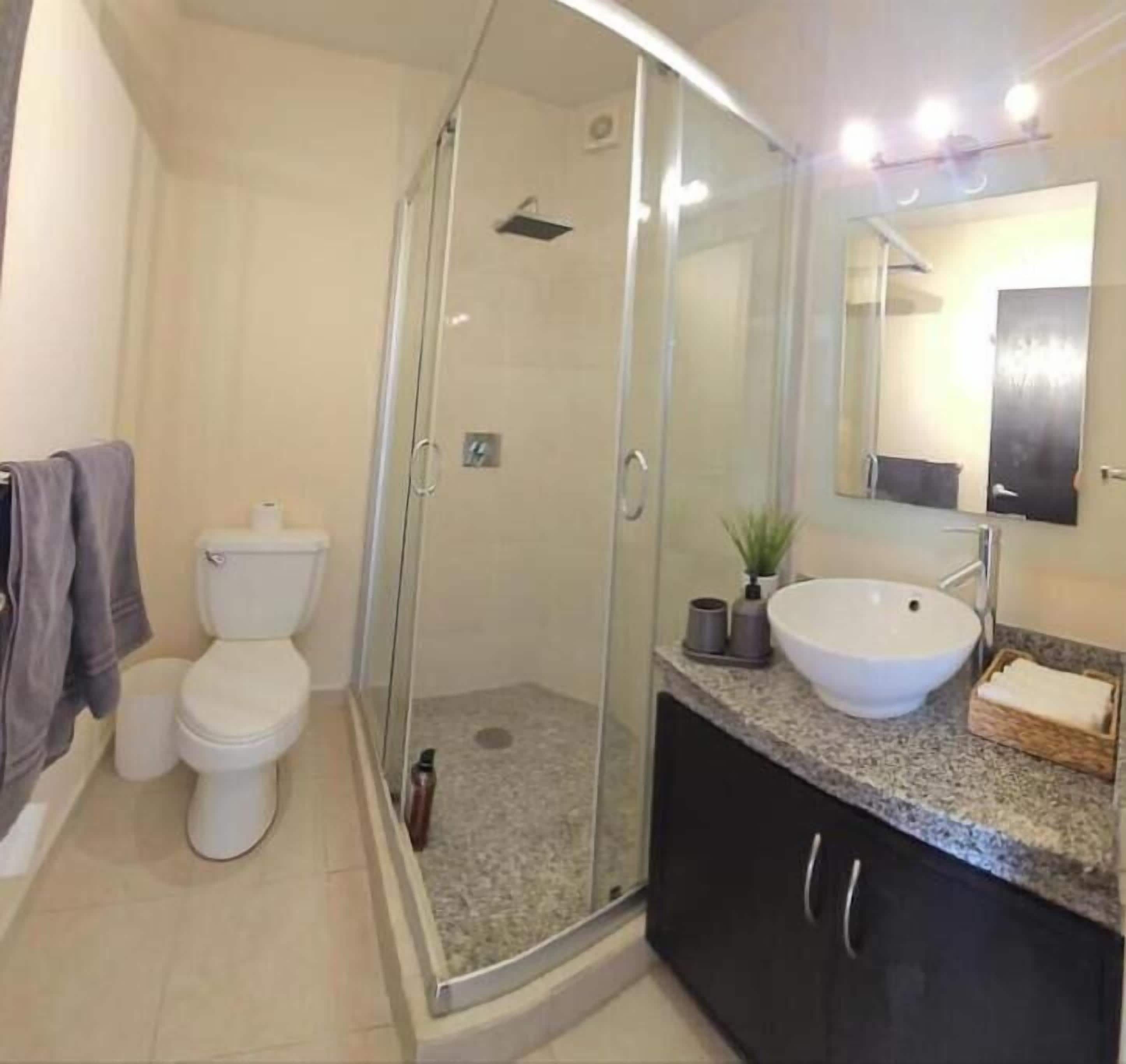 Hair dryer, towels, soap, toilet paper