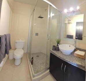 Hair dryer, towels, soap, toilet paper