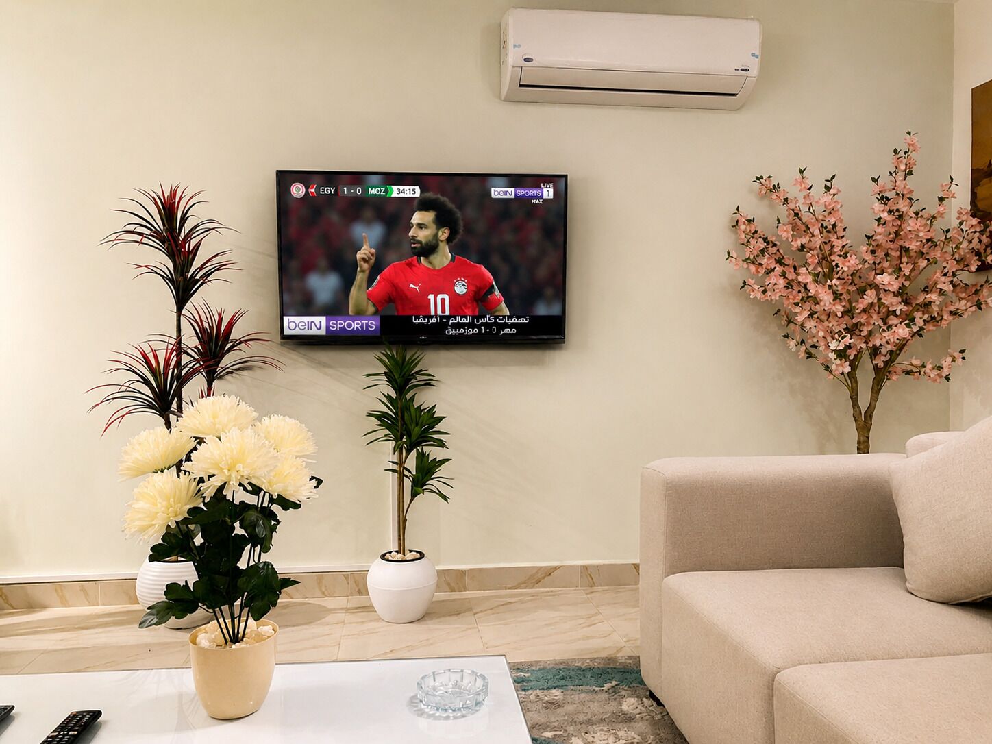En stue med et fladskærms-tv på væggen, der viser et sportsarrangement, en beige sofa, et sofabord med en fjernbetjening og dekorative planter.