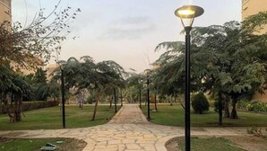 A paved pathway flanked by trees and a street lamp, leading towards a building.