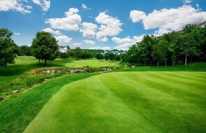 Golf - GORGEOUS CONDO-NO-STEPS- BEAUTIFUL VIEWS -HEART OF BRANSON-AFFORDABLE & SPACIOUS (Branson)