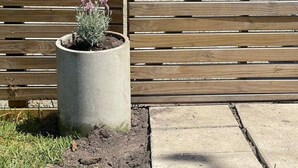 Una cerca de madera con una jardinera que contiene una planta.